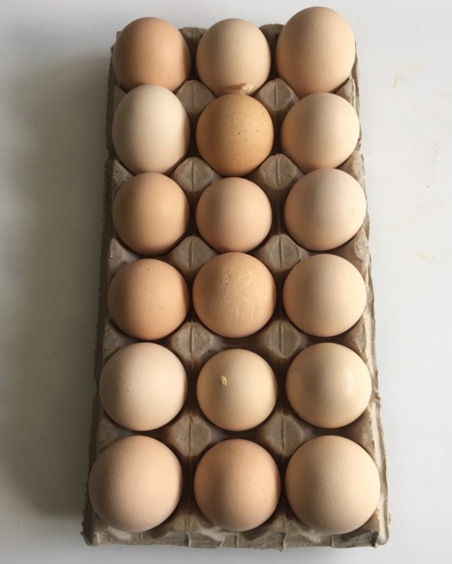 free-range egg delivery Cape Town