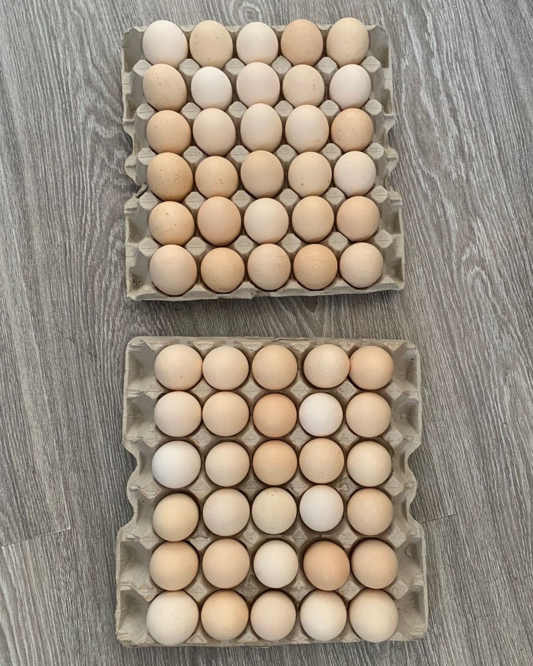 double yolk eggs Cape Town