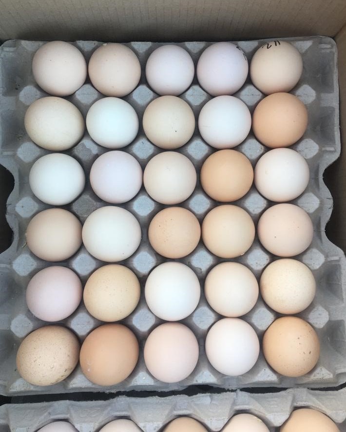 Egg delivery Cape Town