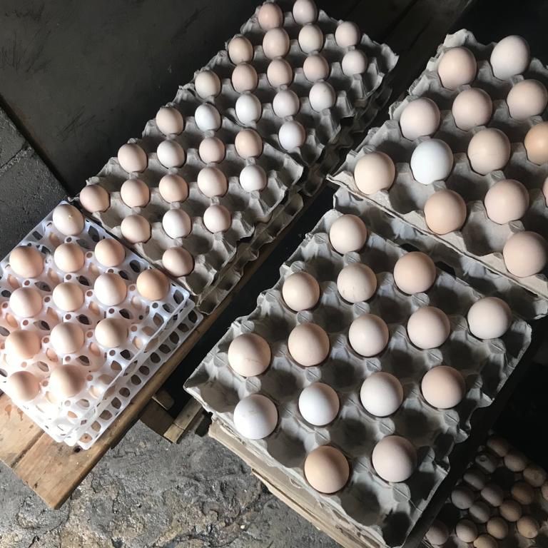 free-range double-yolk eggs