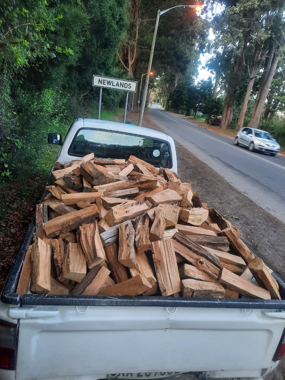 blue gum pine firewood