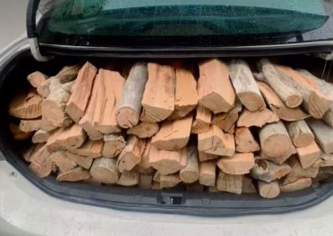 blue gum pine firewood